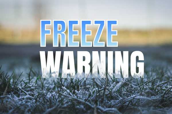 freeze_warning_18f0539481.jpg